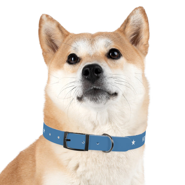 The Silent Heroes Collar