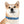 The Silent Heroes Collar