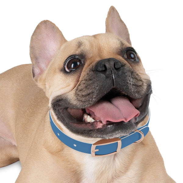 The Silent Heroes Collar