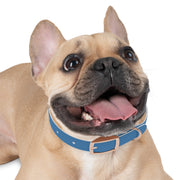 The Silent Heroes Collar
