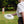 The Sniper Disc
