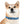 The Silent Heroes Collar