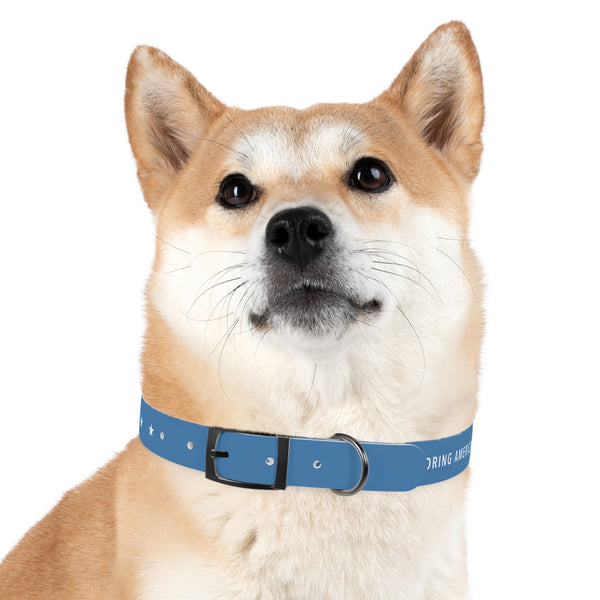 The Silent Heroes Collar