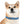 The Silent Heroes Collar