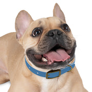 The Silent Heroes Collar