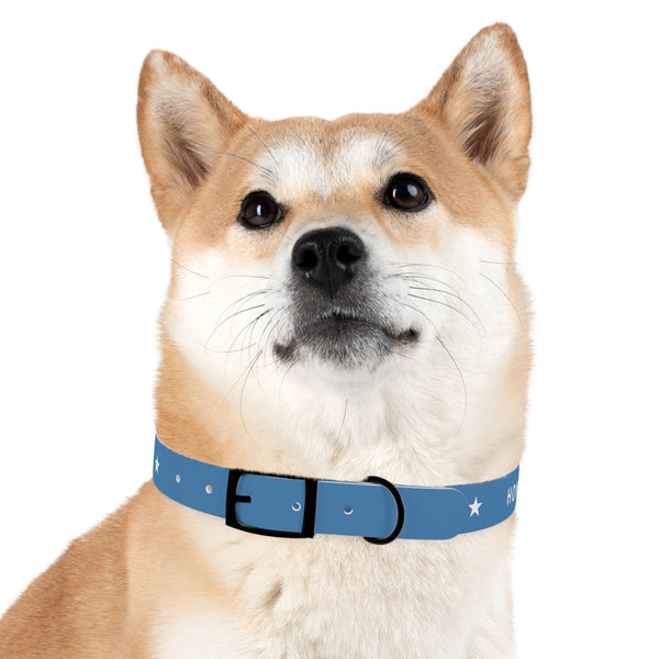 The Silent Heroes Collar